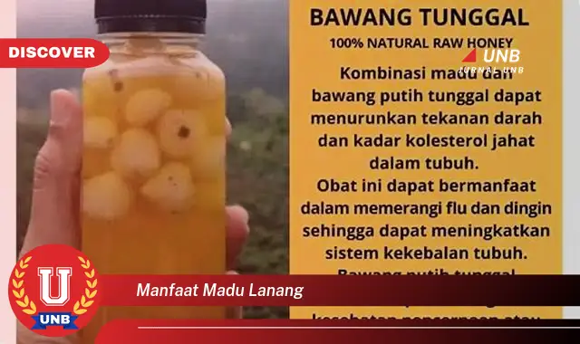 manfaat madu lanang