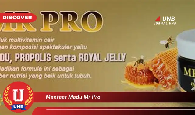 manfaat madu mr pro manfaat madu mr pro