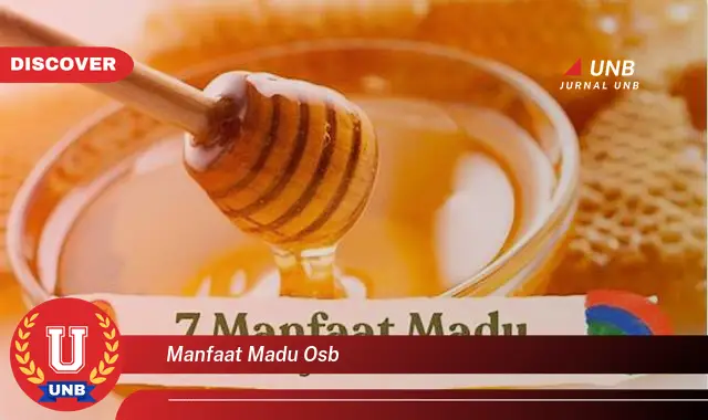 manfaat madu osb