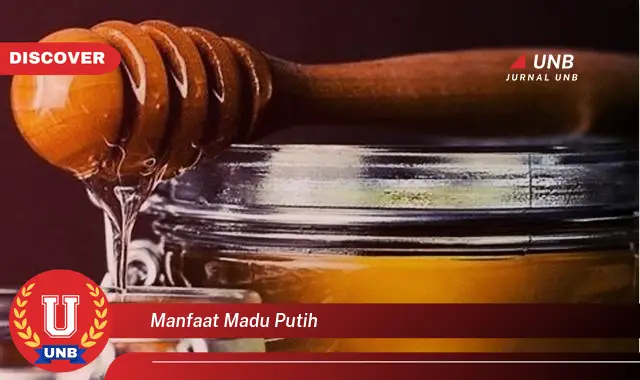 manfaat madu putih manfaat madu putih