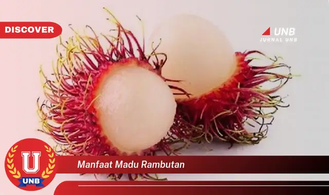 manfaat madu rambutan