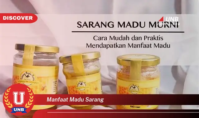 manfaat madu sarang