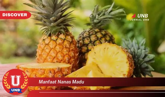 manfaat nanas madu