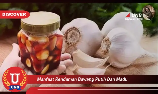 manfaat rendaman bawang putih dan madu manfaat rendaman bawang putih dan madu