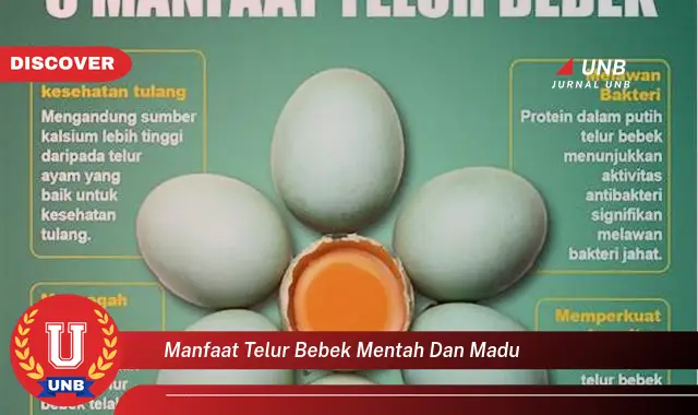 manfaat telur bebek mentah dan madu