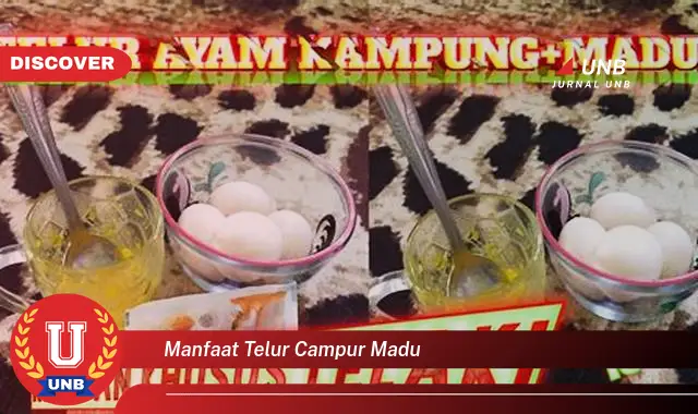 manfaat telur campur madu manfaat telur campur madu