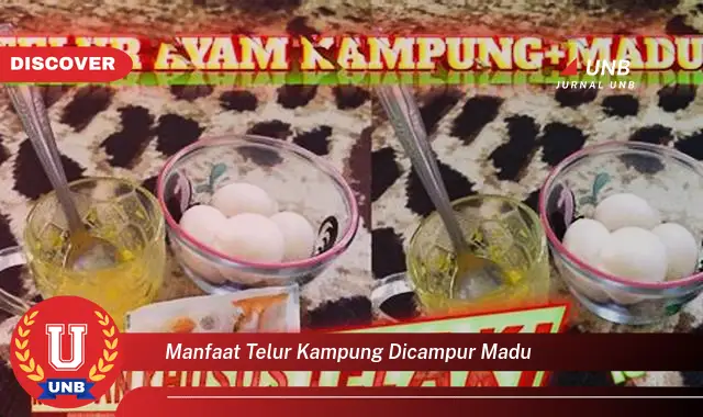 manfaat telur kampung dicampur madu