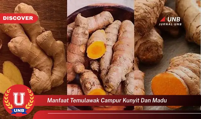 manfaat temulawak campur kunyit dan madu