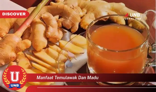 manfaat temulawak dan madu manfaat temulawak dan madu