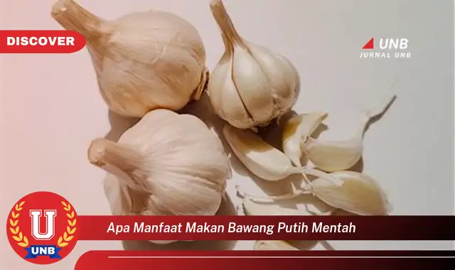 apa manfaat makan bawang putih mentah