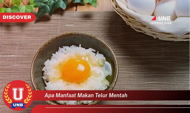 apa manfaat makan telur mentah