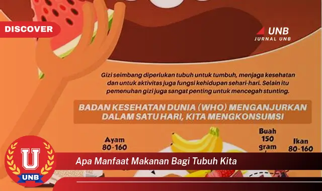 apa manfaat makanan bagi tubuh kita