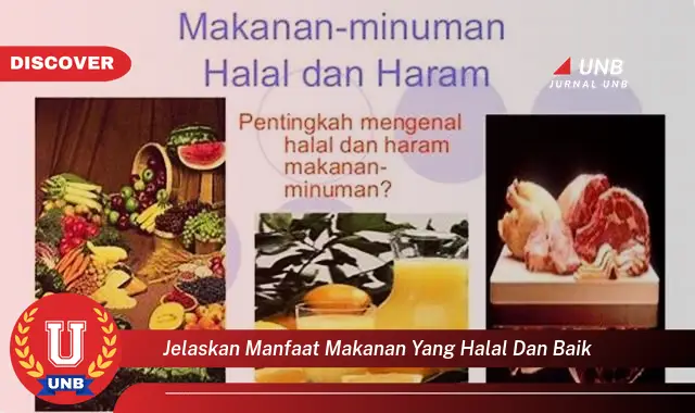 jelaskan manfaat makanan yang halal dan baik