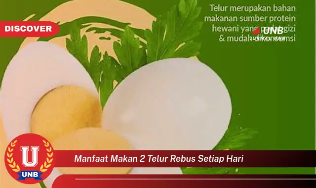 manfaat makan 2 telur rebus setiap hari