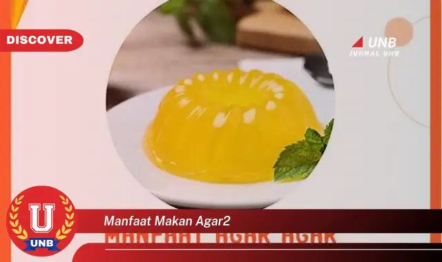 manfaat makan agar2