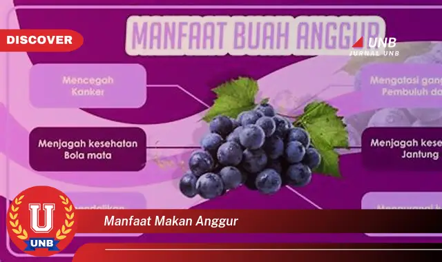 manfaat makan anggur