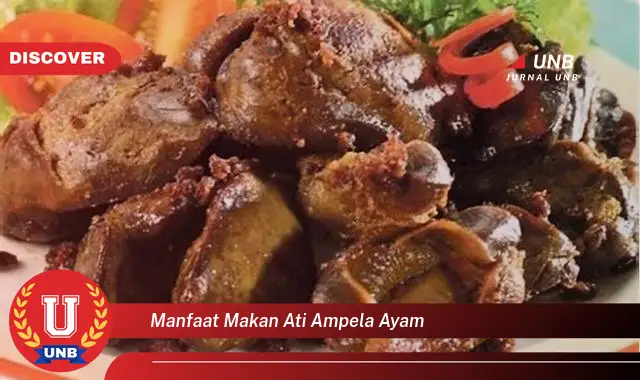 Ketahui 6 Manfaat Makan Ati Ampela Ayam yang Bikin Kamu Penasaran