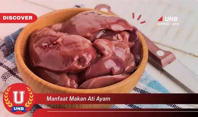 manfaat makan ati ayam