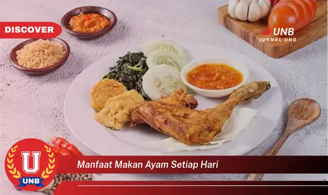 manfaat makan ayam setiap hari