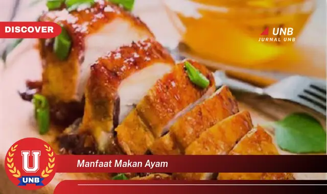manfaat makan ayam