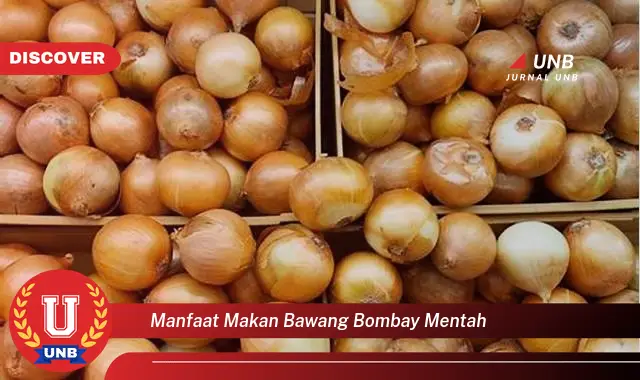 manfaat makan bawang bombay mentah