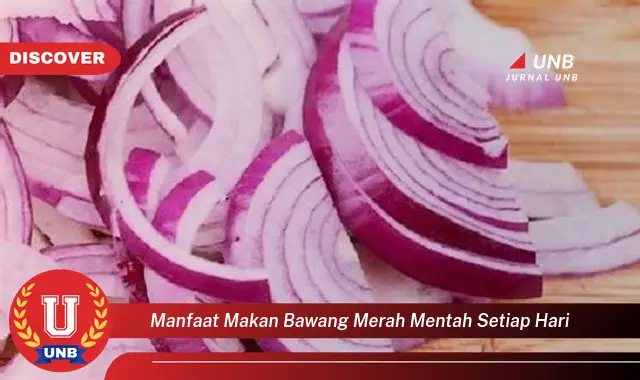 manfaat makan bawang merah mentah setiap hari manfaat makan bawang merah mentah setiap hari