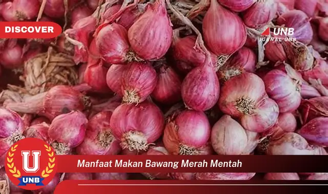 manfaat makan bawang merah mentah