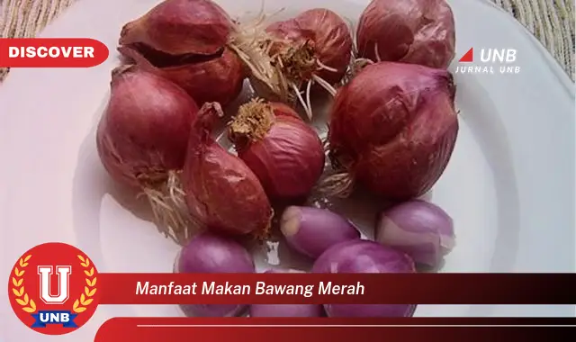 manfaat makan bawang merah manfaat makan bawang merah