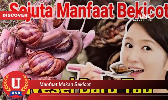 manfaat makan bekicot