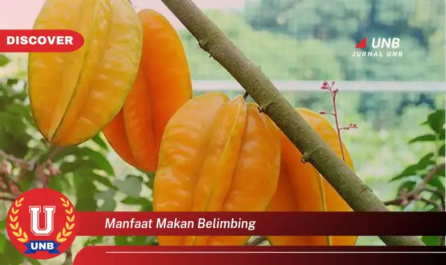 manfaat makan belimbing manfaat makan belimbing