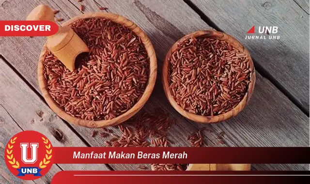 manfaat makan beras merah