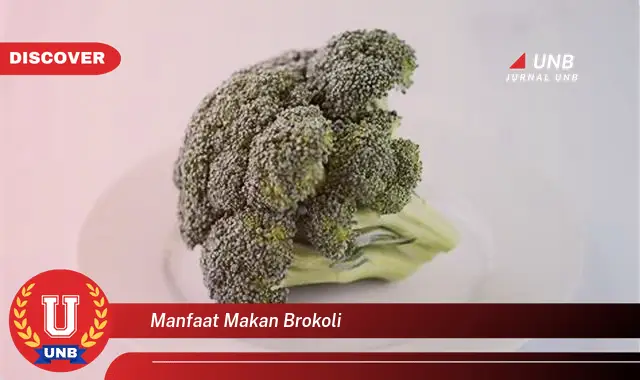 manfaat makan brokoli