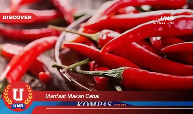 manfaat makan cabai