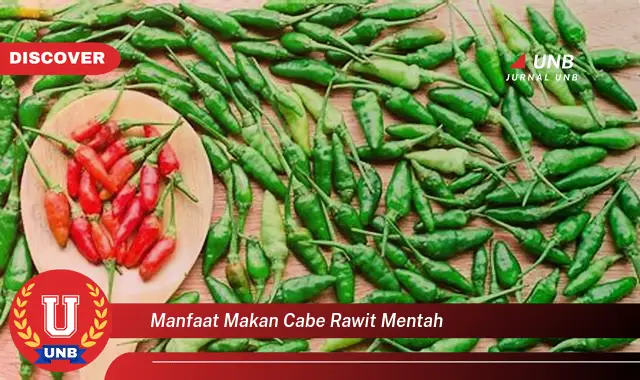 manfaat makan cabe rawit mentah manfaat makan cabe rawit mentah