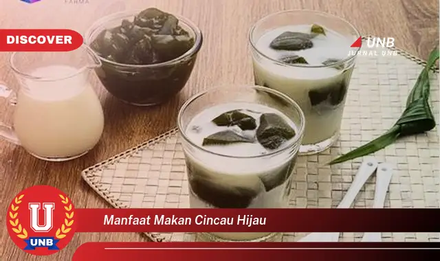 manfaat makan cincau hijau manfaat makan cincau hijau