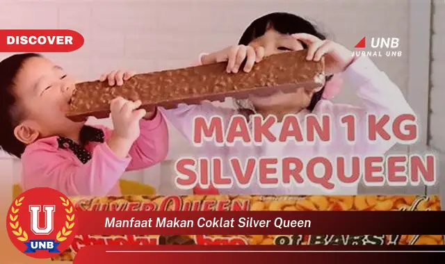 manfaat makan coklat silver queen