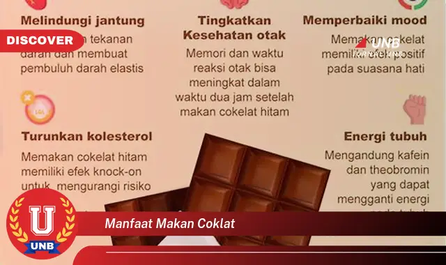 manfaat makan coklat manfaat makan coklat