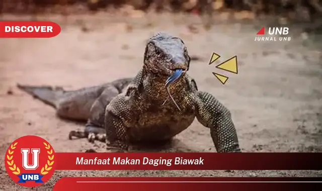 Temukan 6 Manfaat Makan Daging Biawak yang Jarang Diketahui