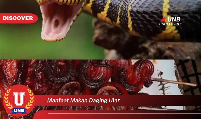 manfaat makan daging ular