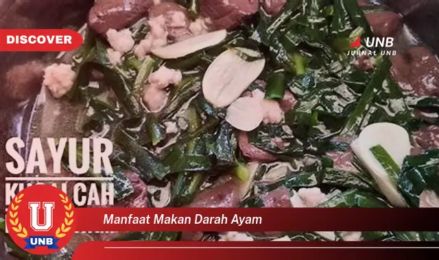 manfaat makan darah ayam