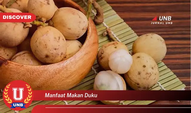 manfaat makan duku