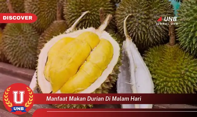 manfaat makan durian di malam hari manfaat makan durian di malam hari