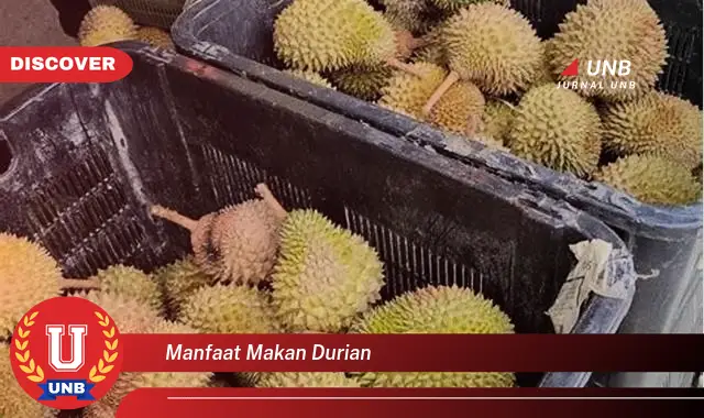 manfaat makan durian manfaat makan durian