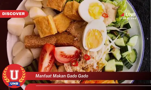 manfaat makan gado gado manfaat makan gado gado
