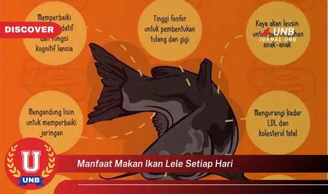 manfaat makan ikan lele setiap hari manfaat makan ikan lele setiap hari