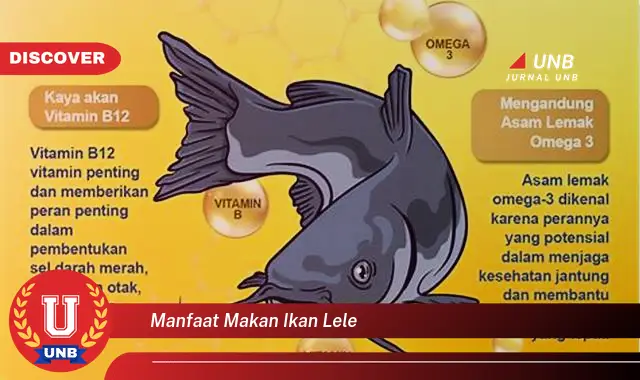 manfaat makan ikan lele