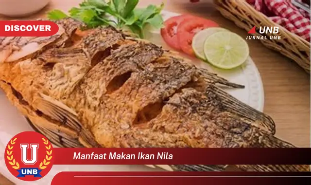 manfaat makan ikan nila