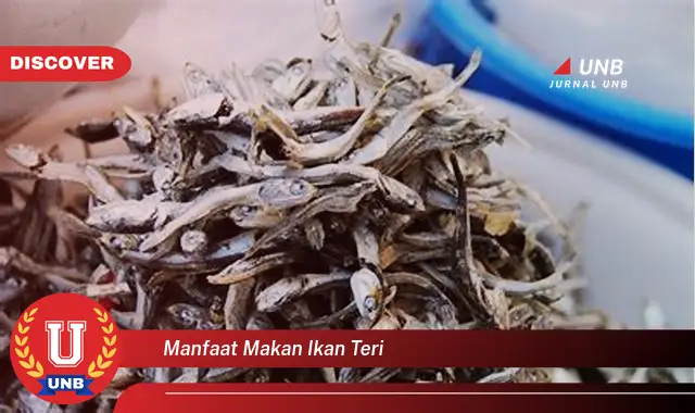manfaat makan ikan teri manfaat makan ikan teri