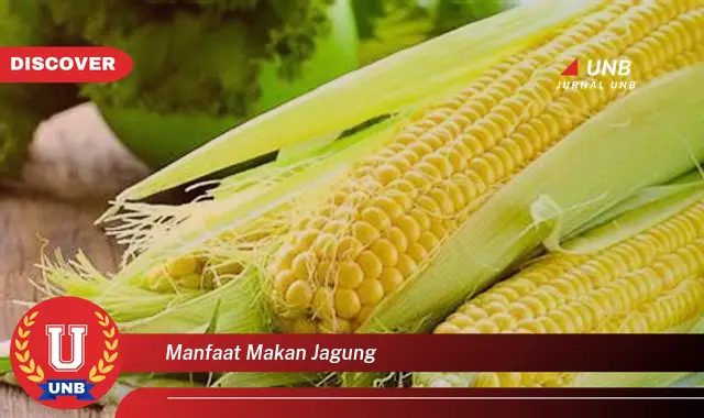 manfaat makan jagung manfaat makan jagung