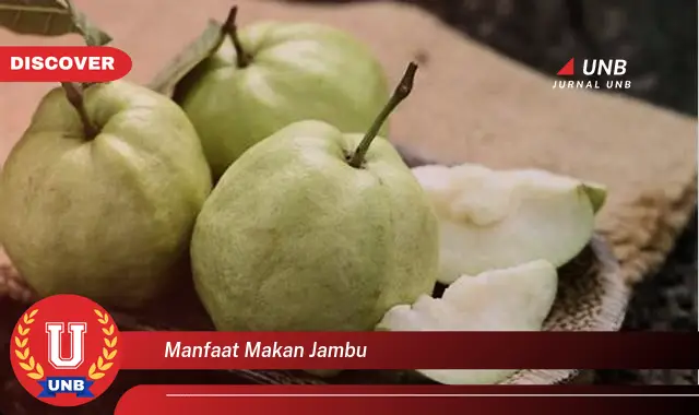 manfaat makan jambu